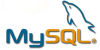 php mysql 100x50 php mysql 100x50